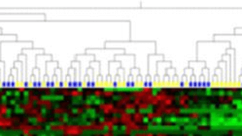 Persistently raised genital inflammation increases HIV risk